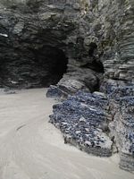 P1010108.jpg (960x1280; 265368 bytes)