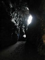 P1010113.jpg (960x1280; 147304 bytes)