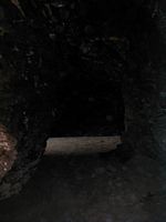 P1010114.jpg (960x1280; 156196 bytes)